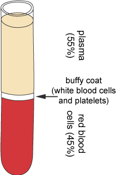 diagram of a tube of blood